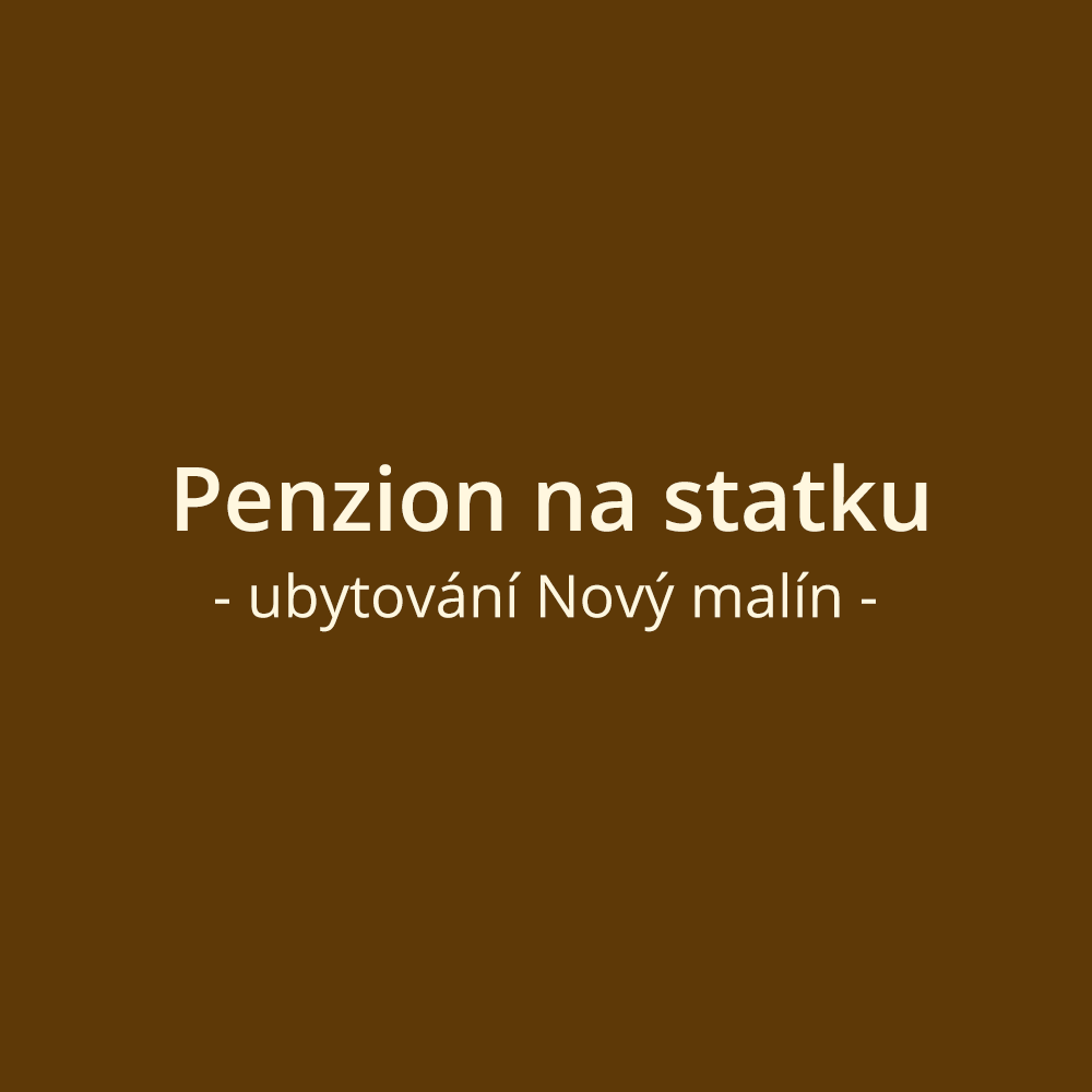 Penzion na statku - ubytování Nový Malín